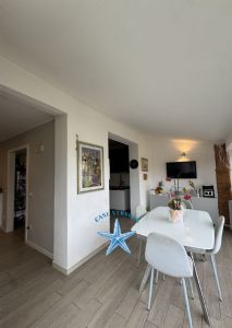 Casa indipendente con giardino  : appartamento con giardino in vendita  Lido di Camaiore